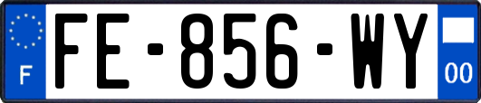 FE-856-WY