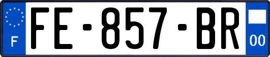 FE-857-BR