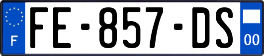 FE-857-DS