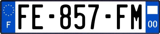 FE-857-FM