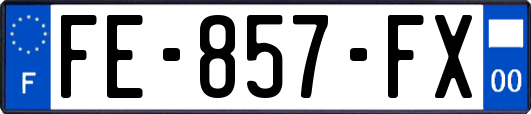FE-857-FX