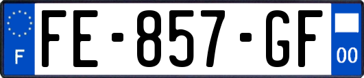 FE-857-GF
