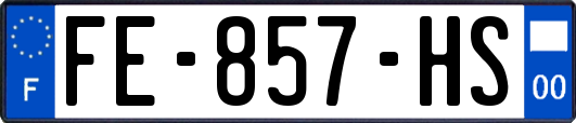 FE-857-HS
