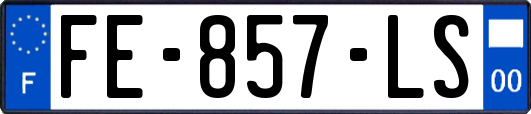 FE-857-LS