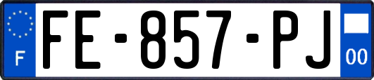FE-857-PJ