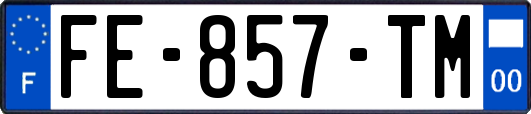 FE-857-TM