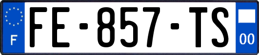 FE-857-TS