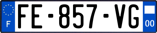 FE-857-VG