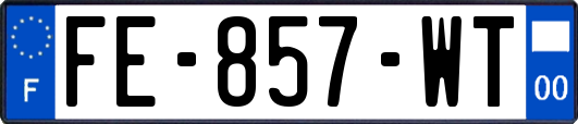 FE-857-WT