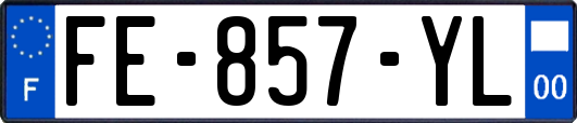 FE-857-YL