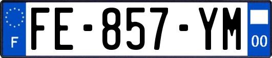 FE-857-YM