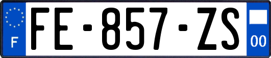 FE-857-ZS