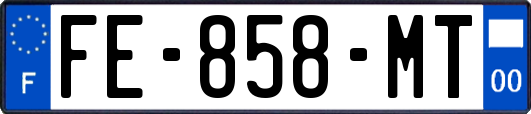 FE-858-MT