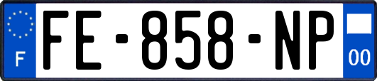 FE-858-NP