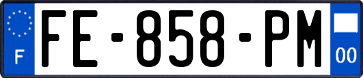 FE-858-PM