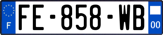 FE-858-WB