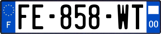 FE-858-WT