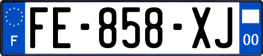 FE-858-XJ