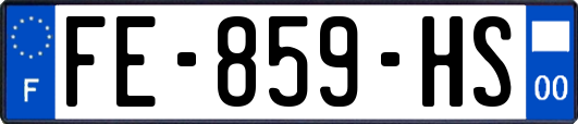 FE-859-HS
