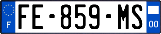 FE-859-MS