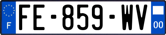 FE-859-WV