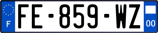 FE-859-WZ