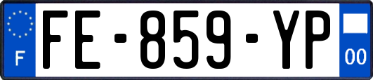 FE-859-YP