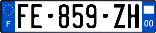 FE-859-ZH