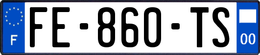 FE-860-TS