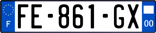 FE-861-GX