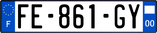FE-861-GY