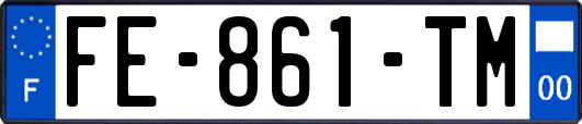 FE-861-TM