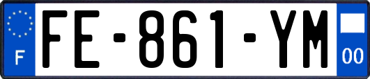 FE-861-YM