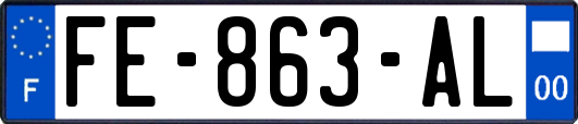 FE-863-AL