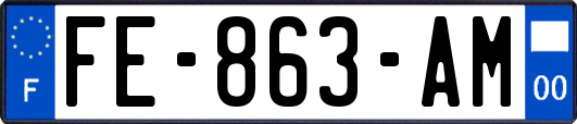 FE-863-AM