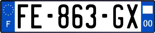 FE-863-GX