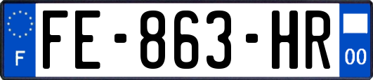 FE-863-HR