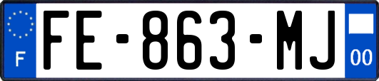 FE-863-MJ