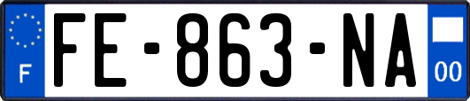FE-863-NA