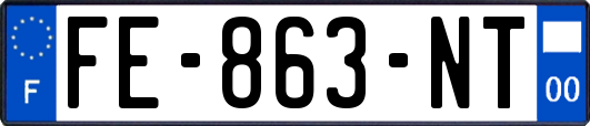 FE-863-NT