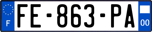 FE-863-PA