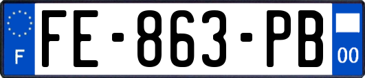 FE-863-PB