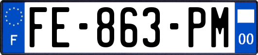 FE-863-PM