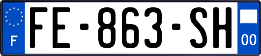 FE-863-SH