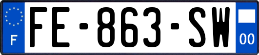 FE-863-SW