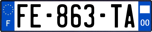 FE-863-TA