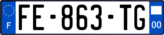 FE-863-TG