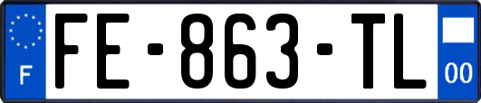 FE-863-TL