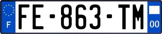 FE-863-TM