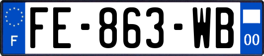 FE-863-WB